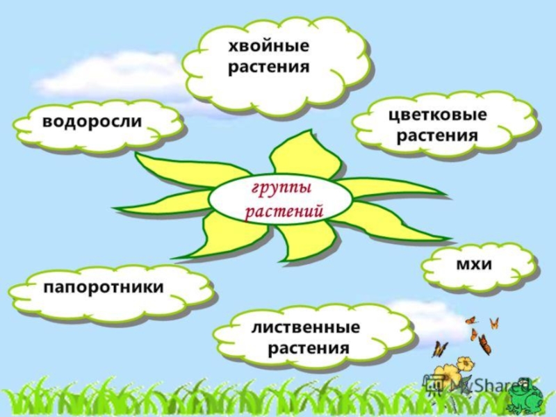 Урок миру конспект урока. Проект охрана растений. Проект о растениях 3 класс по окружающему миру. Проект окружающий мир растения. Проект по окружающему миру 3 класс охрана растений.