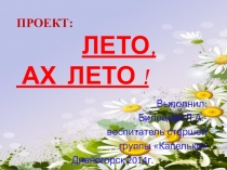 Презентация Лето, ах лето! Билецкая Л.А.