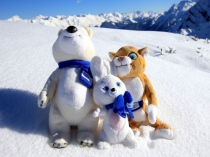 Урок по математике Сложение и вычитание дробей с разными знаменателями