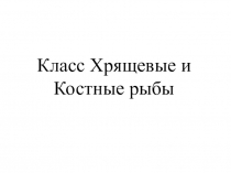 Презентация Класс Хрящевые и Костные рыбы