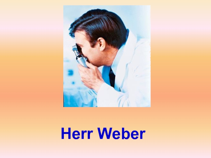 Herr Weber