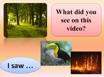 Презентация по английскому языку на тему Экология ( 5 класс)