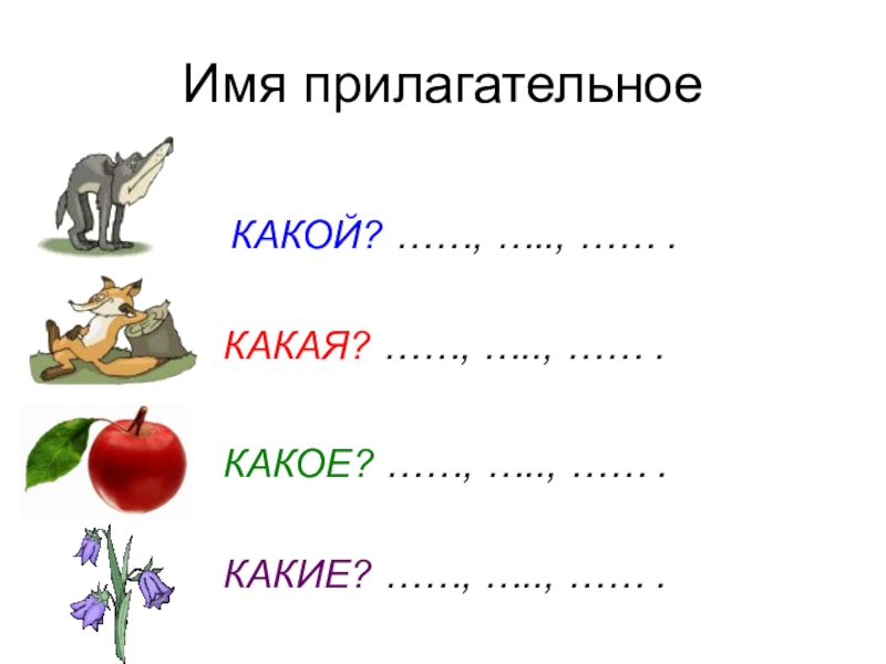 Карточки по русскому языку число имен прилагательных. Имя прилагательное карточки. Имя прилагательное задания. Карточка имена прилагательные. Задания на тему имя прилагательное.