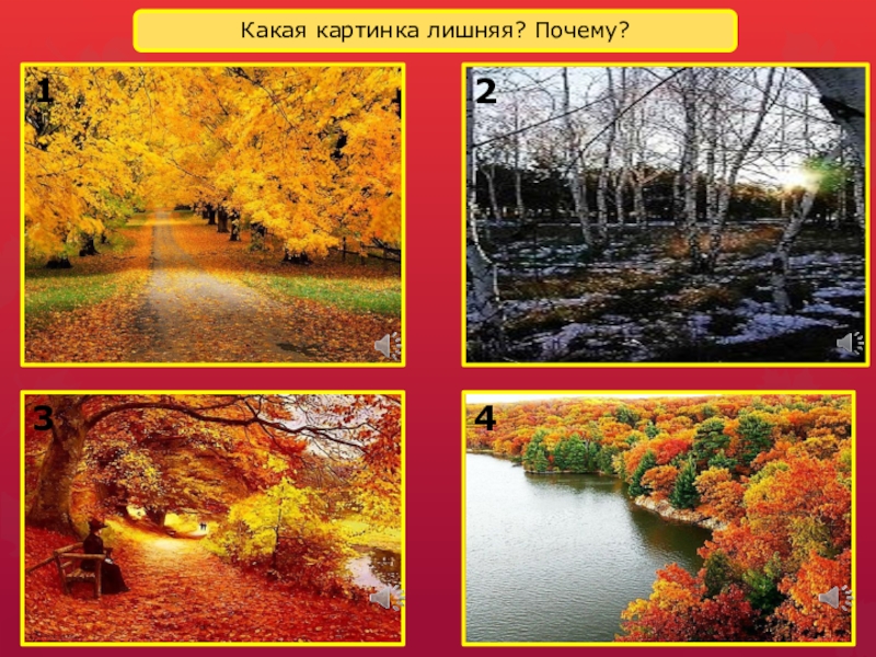 Ранняя и поздняя осень. Презентация поздняя осень. Презентация поздняя осень. Ранняя и поздняя осень. Осень периоды ранняя золотая поздняя.