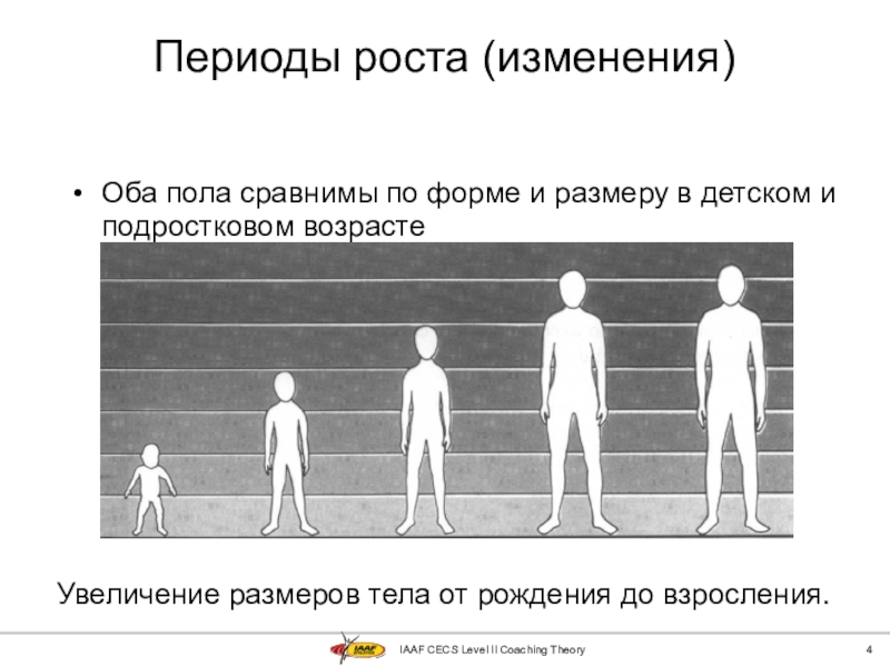 Изменения обоих. Рост и развитие человека. Периоды роста и развития. Периоды роста человека. Изменение роста.