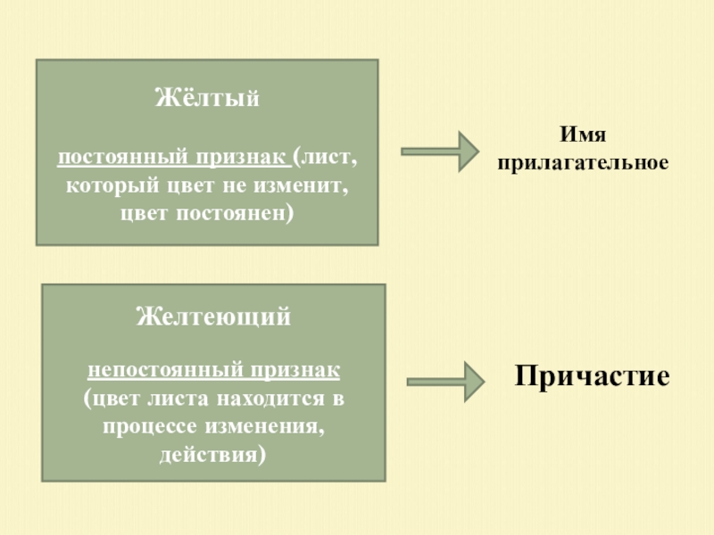 Постоянный признак личное. Постоянный признак листва. Желтеющим листом Причастие. Постоянный признак это как. Постоянные признаки причастия желтеющую возвратное или НЕВОЗВРАТНОЕ.