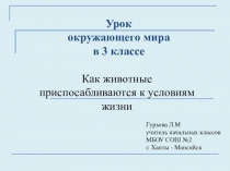 Презентация по окружающему миру Как животные приспосабливаются к окружающему миру.