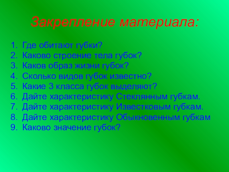 Каков образ жизни. Образ жизни губчатых.