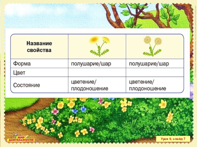 Название свойств