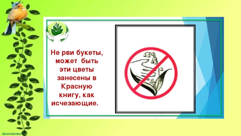 ПРЕЗЕНТАЦИЯ К КЛАССНОМУ ЧАСУ 1 КЛАСС НА ТЕМУ ПРИРОДА И МЫ