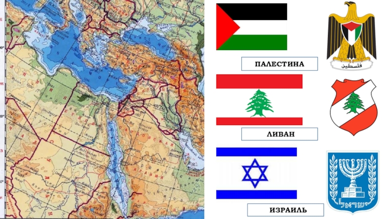 Реферат: Финикия и Палестина