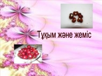 Дүниетану пәні Тұқым және жеміс 2 класс