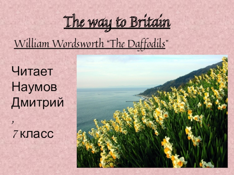 Daffodils by william wordsworth