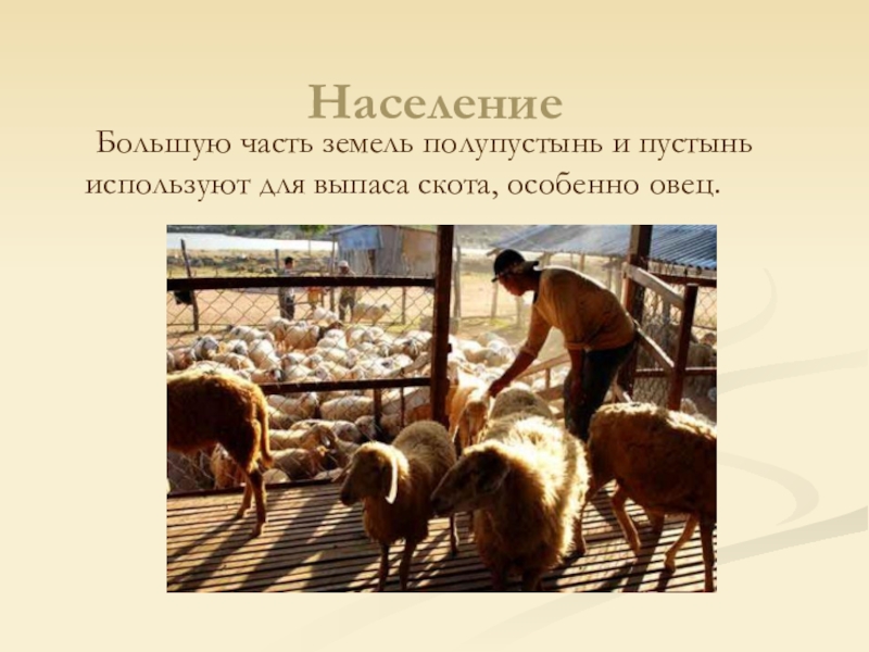 Как человек ведет хозяйство в пустыне план. Занятия населения пустынь и полупустынь России. Занятия населения пустынь. Занятия людей пустыни. Занятия населения в пустыне.