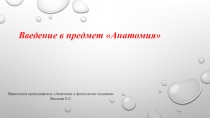 Презентация по дисциплине Анатомия и физиология человека на тему: Введение в предмет анатомия