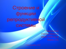 Презентация по биологии на тему Репродуктивная система. Внутриутробное развитие и рождение ребёнка (8 класс) УМК Сухорукова