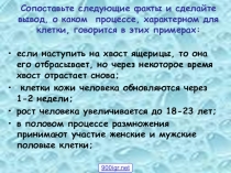 Презентация к уроку Деление клетки 6 класс