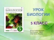 Презентация к уроку Устройство увеличительных приборов.