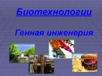 Презентация по биологии  Биотехнология