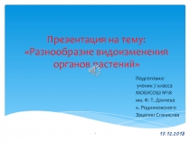 Презентация по биологии на тему Разнообразие видоизменения органов растений