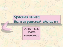 Презентация Красная книга Волгоградской области Животные