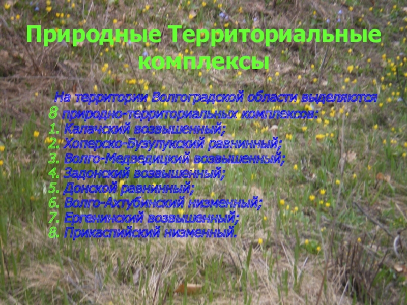 Природный территориальный комплекс. Географическое положение природно территориальный комплекс. В Волгограде природные территориальные комплексы. Природно территориальные комплексы Белгородской области.