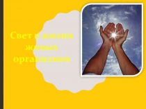 Свет в жизни живых организмов 7 класс