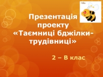 Презентация проекта (2 класс)