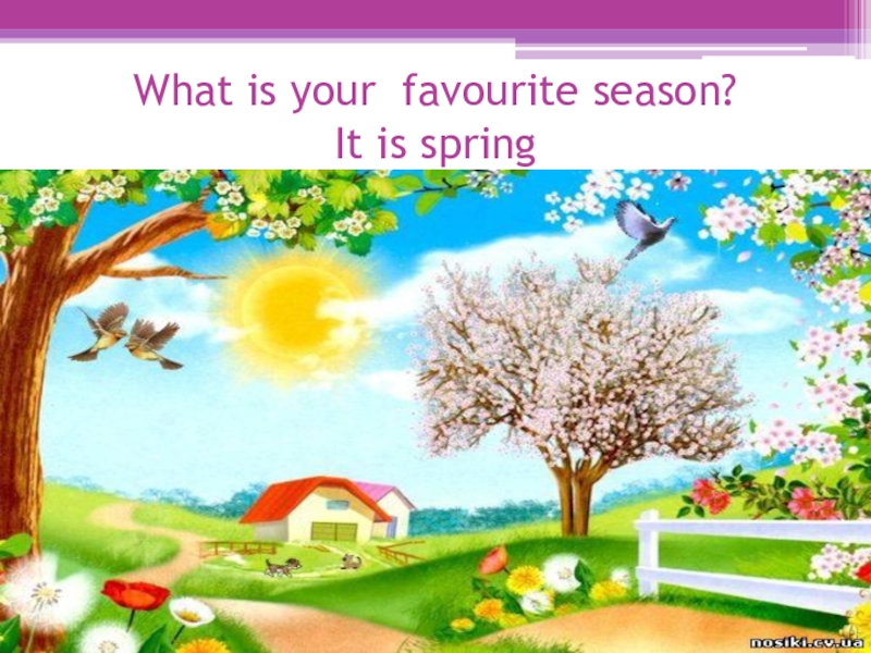 Год по английскому языку 4 класс. Рисунки на тему what is your favourite Season. Проект по английскому favourite Season. Мое любимое время года по английскому. Проект по английскому языку времена года.