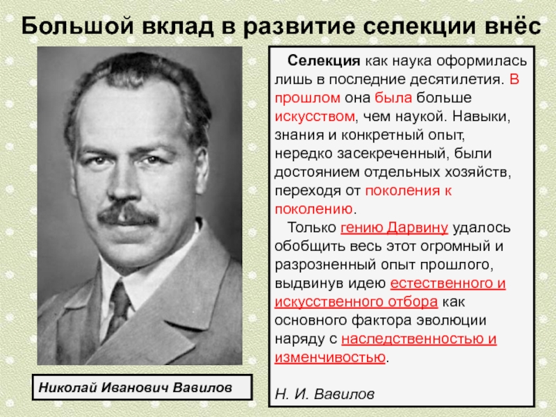 Вклад отечественных. Вавилов достижения в селекции. Н И Вавилов вклад в селекцию. Основоположник селекции. Вклады н и Вавилова.