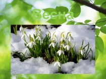 Презентация по окружающему миру Пробуждение весны