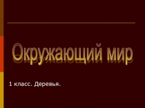 Презентация по окружающему миру на тему Деревья (1 класс)