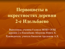 Презентация по экологии  Первоцветы в окрестностях деревни 2-е Идельбаево (5-7 классы)