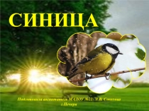 Презентация к занятию по ознакомлению с окружающим в средней группе