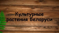 Презентация по Человек и мир Культурные растения Беларуси (2 класс)