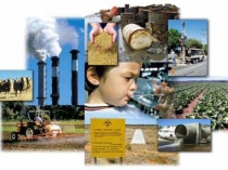 Презентация к уроку обществознания Воздействие человека на природу