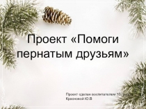 Проект Помоги пернатым друзьям