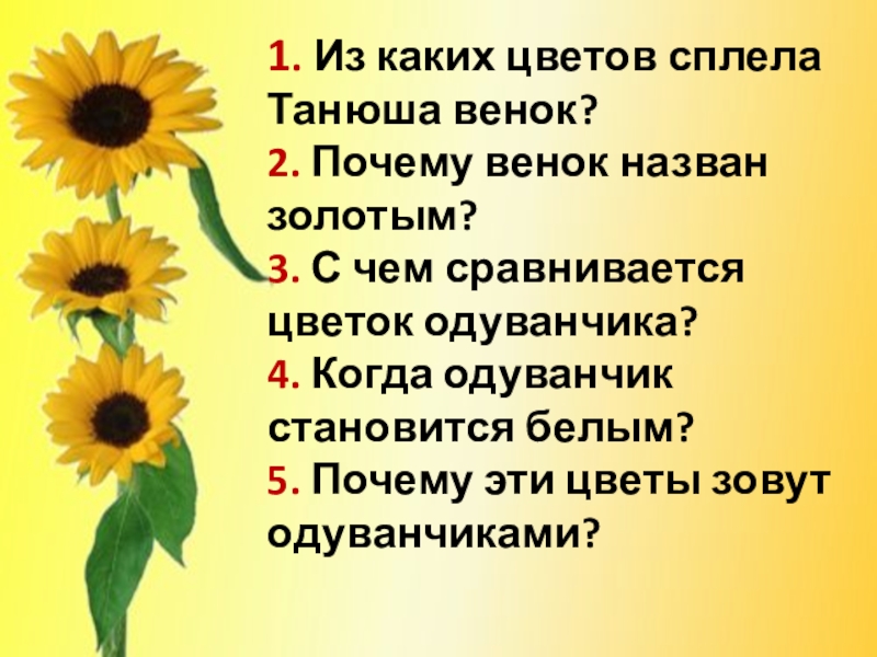 1. Из каких цветов сплела Танюша венок? 2. Почему венок назван золотым? 3. С чем сравнивается цветок