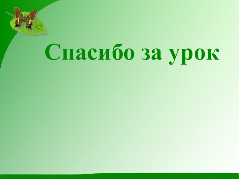 План рассказа паустовского какие бывают дожди