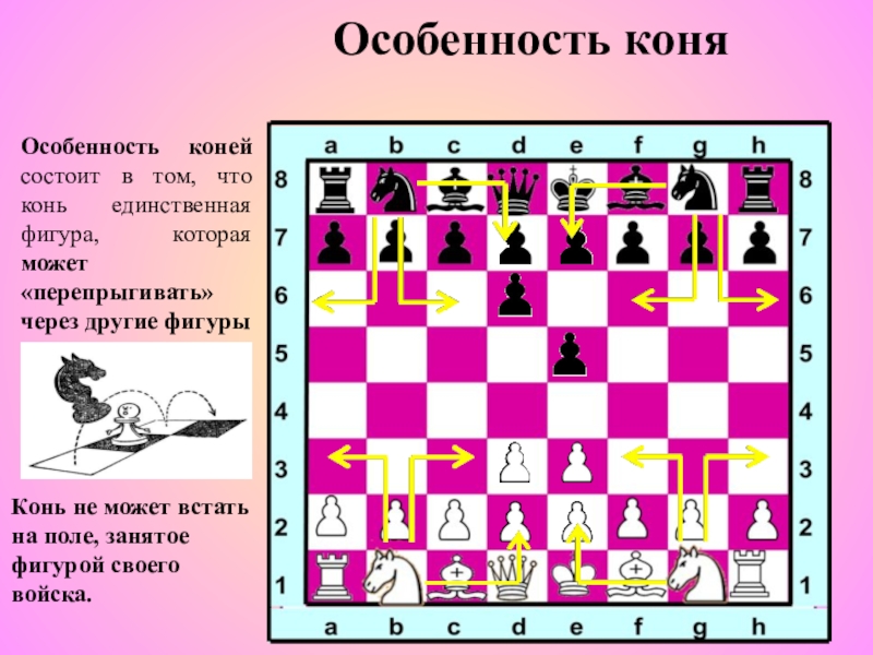 Король любит свой цвет. Как ходит Коконь в шахматах. Как холит коеь в шахмаиах. КСК холит конь в шахматах.. Как ходит конь в шахмата.