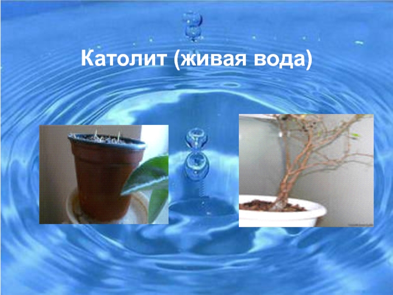 Живая вода телефон. Живая вода католит. Католит и анолит Живая и мертвая вода. Живая вода презентация. Проект Живая вода.