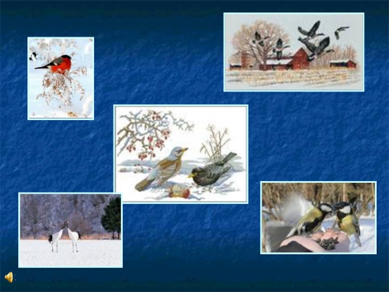 Презентация по ИЗО на тему: Птичьи мотивы