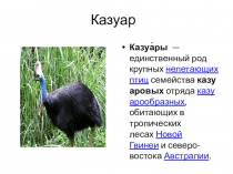 Презентация по окружающему миру