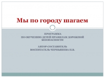 Презентация программы Мы по городу шагаем