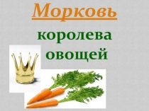 Презентация по внеклассной работе Морковь - королева овощей