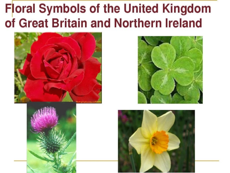 Symbols of great britain