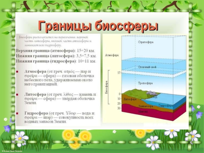 Презентация оболочка земли 5 класс