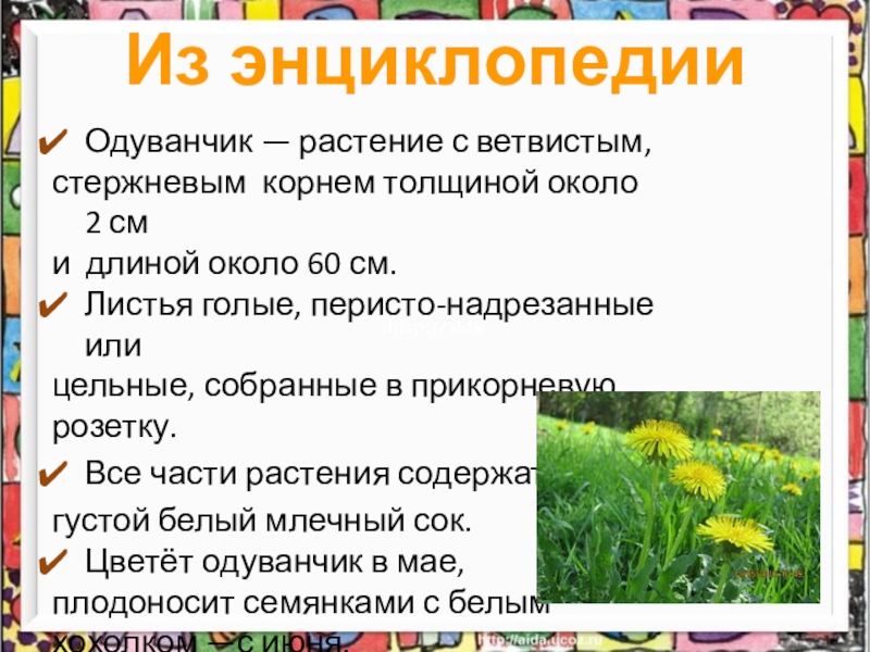 Сочинение одуванчик 2 класс презентация - 90 фото