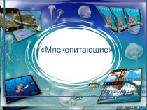 Презентация по естествознанию на темуМлекопитающие