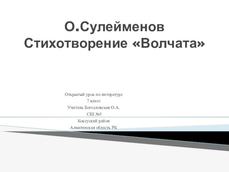 Тема стихотворения волчата о сулейменов